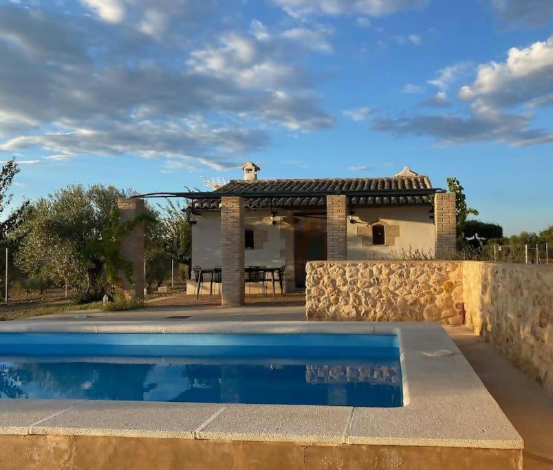 Casita Rural Entre Olivos * Biar