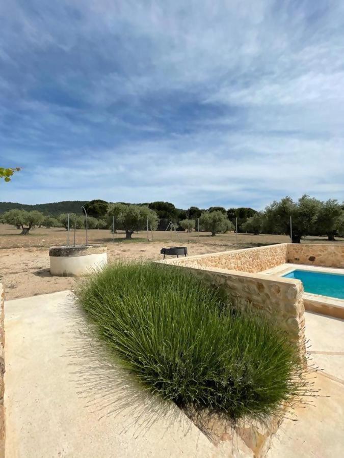 Casita Rural Entre Olivos Hébergement de vacances *
