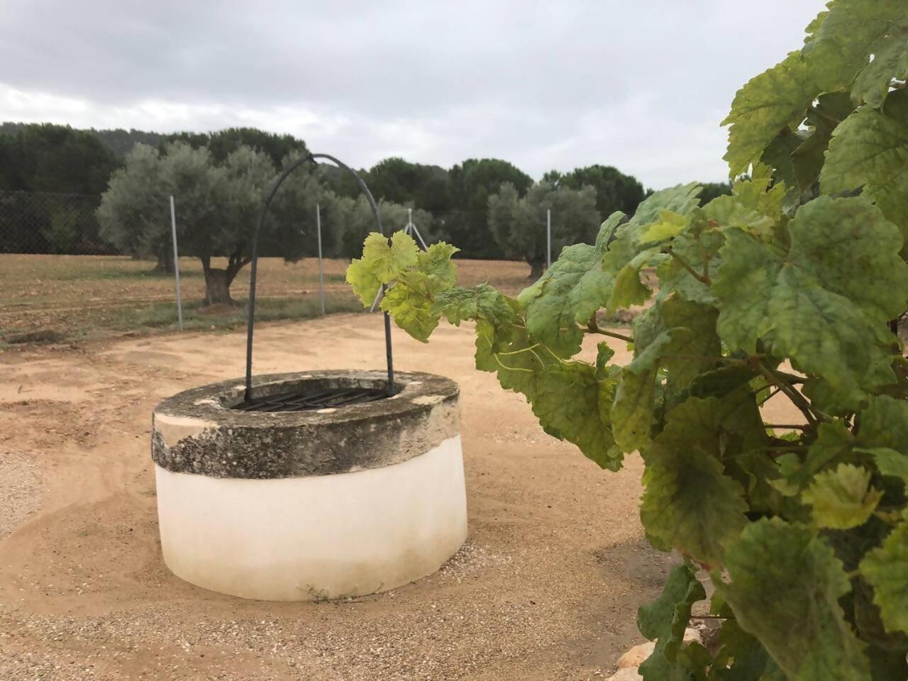 Casita Rural Entre Olivos Hébergement de vacances