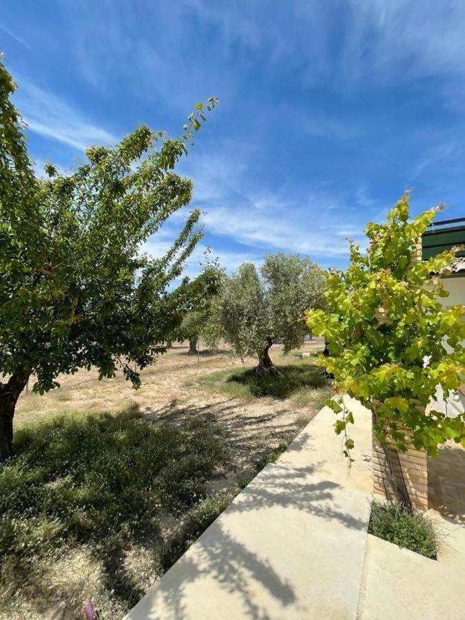 Holiday home Casita Rural Entre Olivos Biar